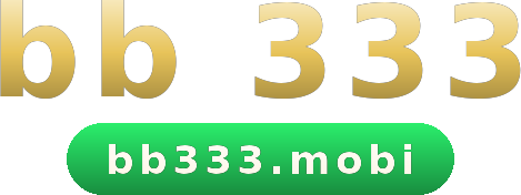 bb 333 logo